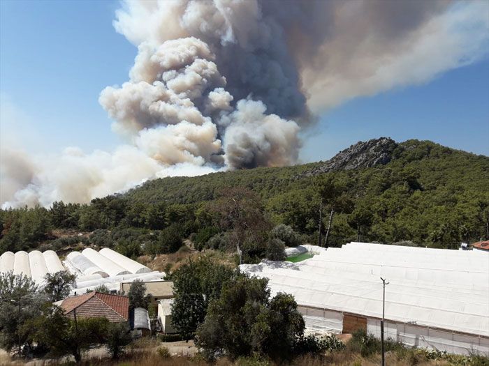 Antalya'daki yangının dehşete düşüren görüntüleri! 1