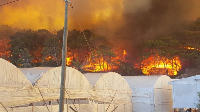 Antalya'daki yangının dehşete düşüren görüntüleri! 4