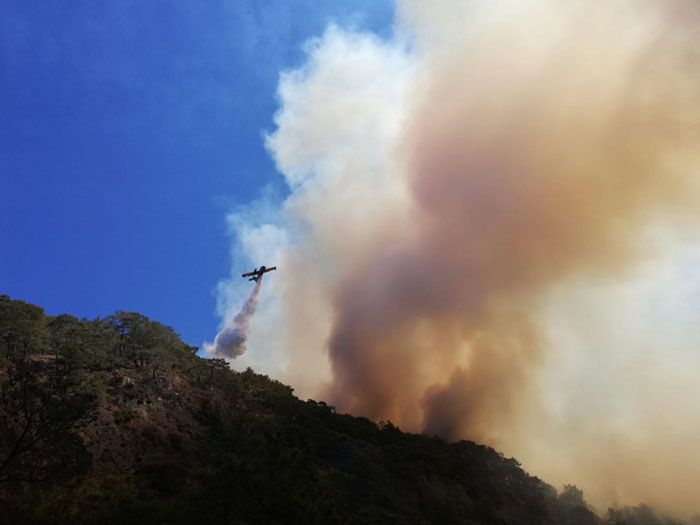 Antalya'daki yangının dehşete düşüren görüntüleri! 5