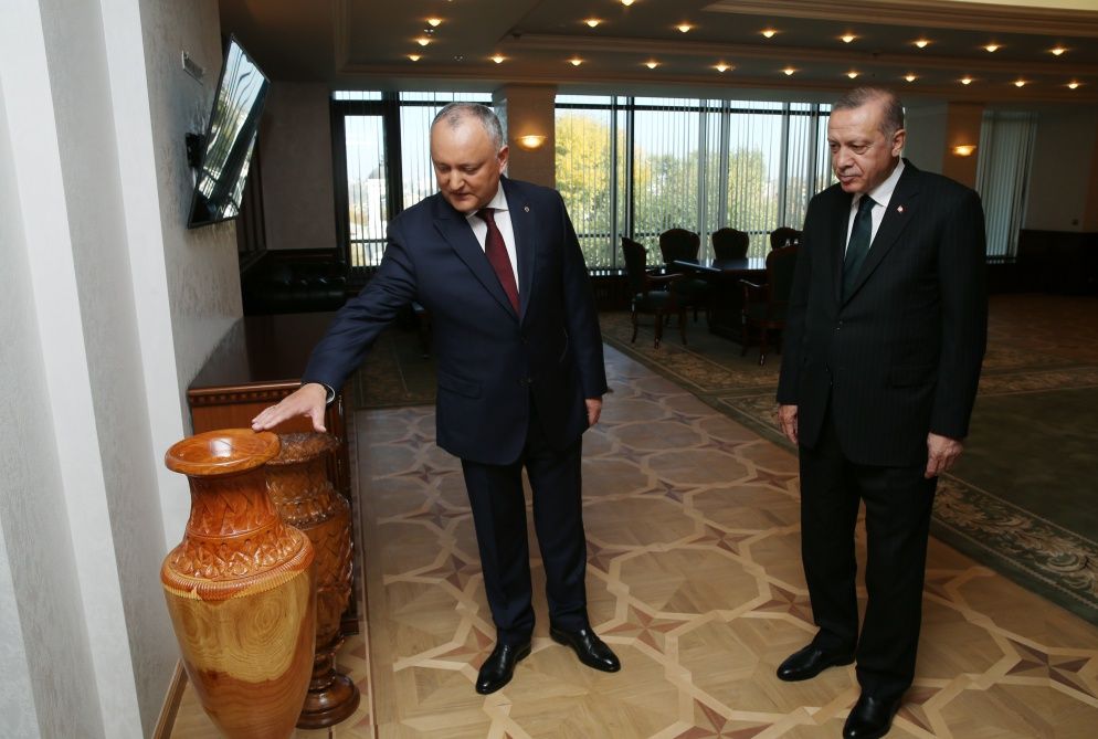 Erdoğan Dodon tarafından resmi törenle karşılandı! 13