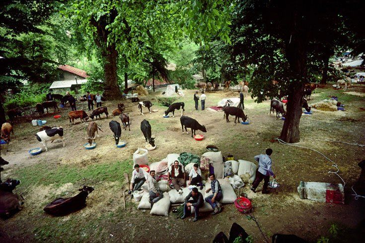 Ara Güler'in bir döneme damga vuran fotoğrafları! 25