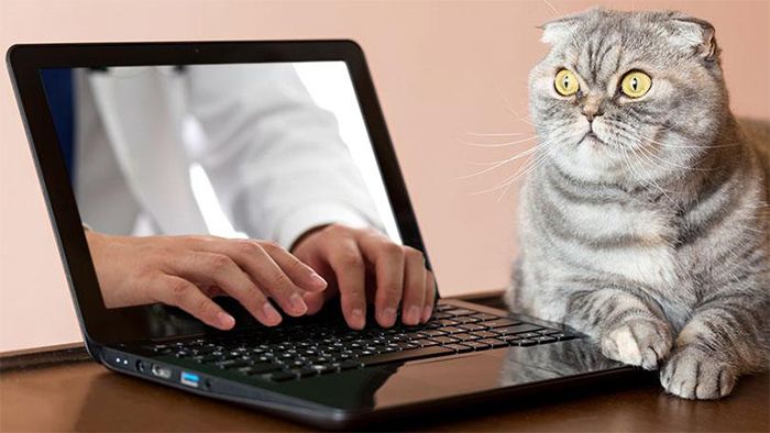 Birbirinden garip Shutterstock fotoğrafları! 2