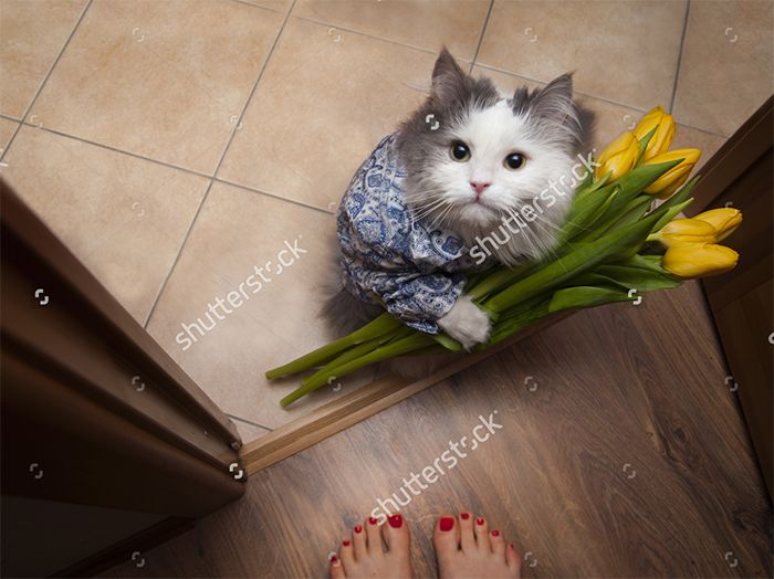 Birbirinden garip Shutterstock fotoğrafları! 3