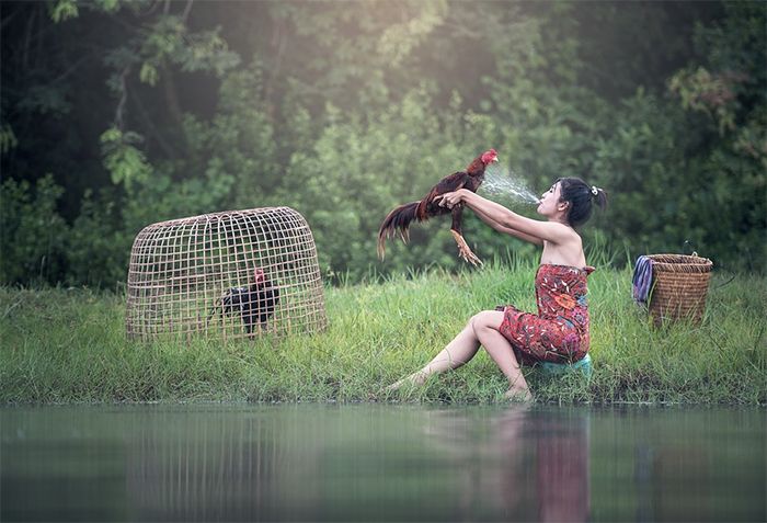 Birbirinden garip Shutterstock fotoğrafları! 31