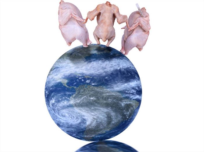 Birbirinden garip Shutterstock fotoğrafları! 17