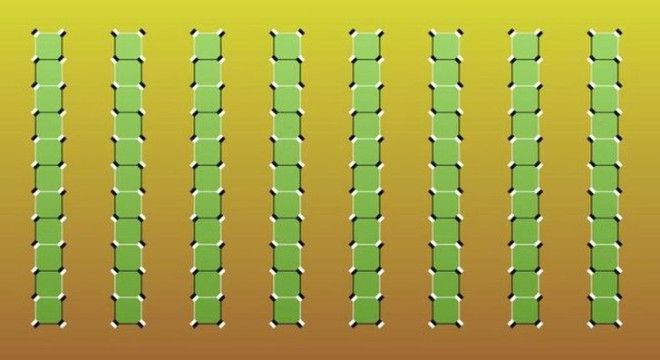 Bu kalpleri mor ve sarı görenler yanılıyor! 8