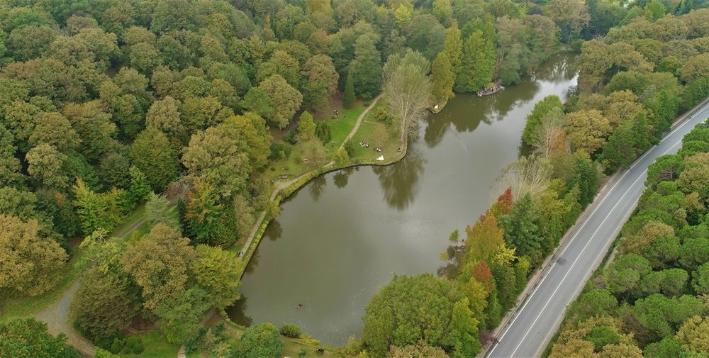Atatürk Arboretumu İstanbulluların akınına uğruyor 11