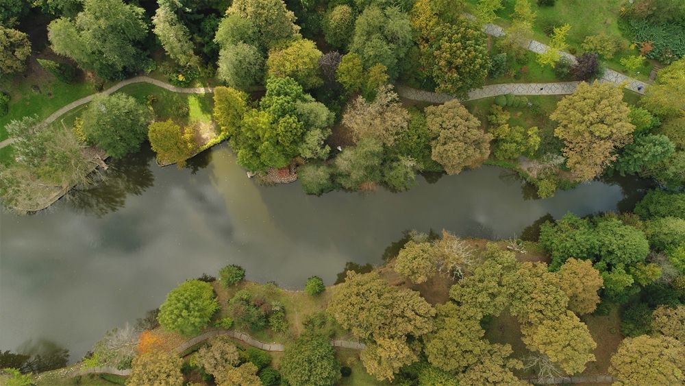 Atatürk Arboretumu İstanbulluların akınına uğruyor 3