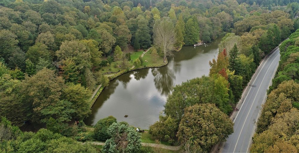Atatürk Arboretumu İstanbulluların akınına uğruyor 1