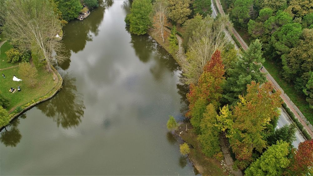Atatürk Arboretumu İstanbulluların akınına uğruyor 10