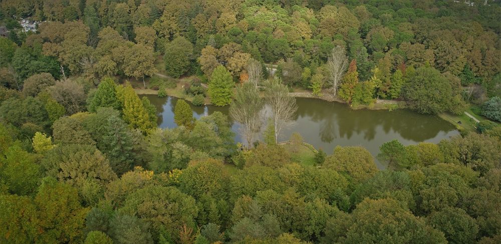 Atatürk Arboretumu İstanbulluların akınına uğruyor 5