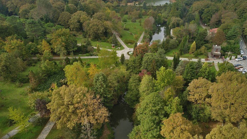 Atatürk Arboretumu İstanbulluların akınına uğruyor 4