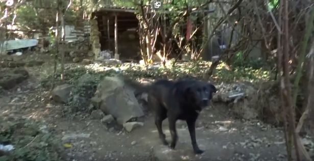 2 ay boyunca her gün tecavüze uğradı! 9