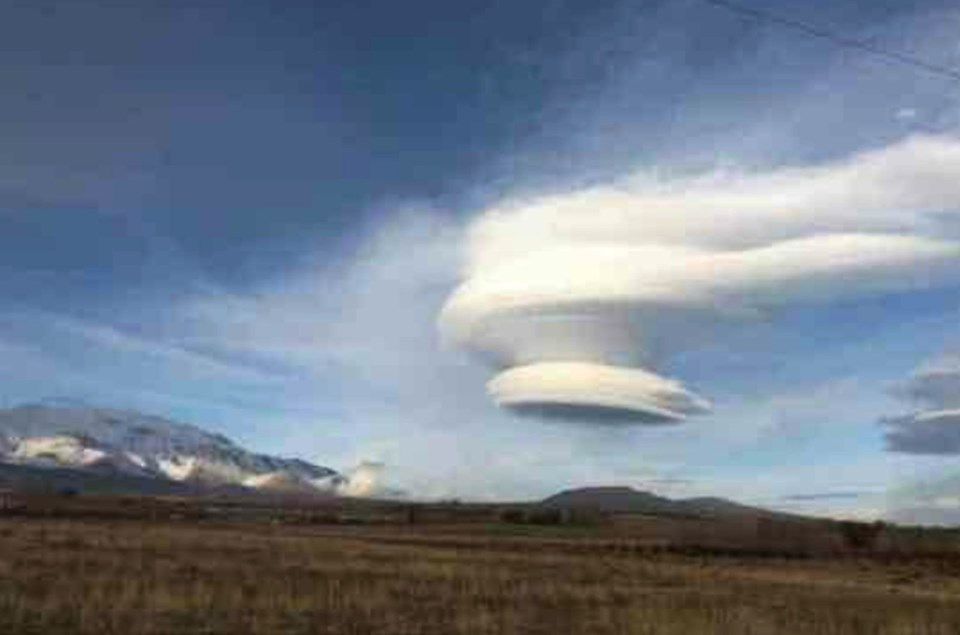 Bitlis'te halkı şaşkına çeviren görüntü! 7
