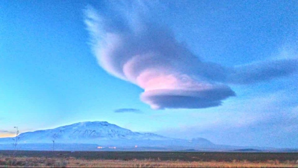 Bitlis'te halkı şaşkına çeviren görüntü! 9
