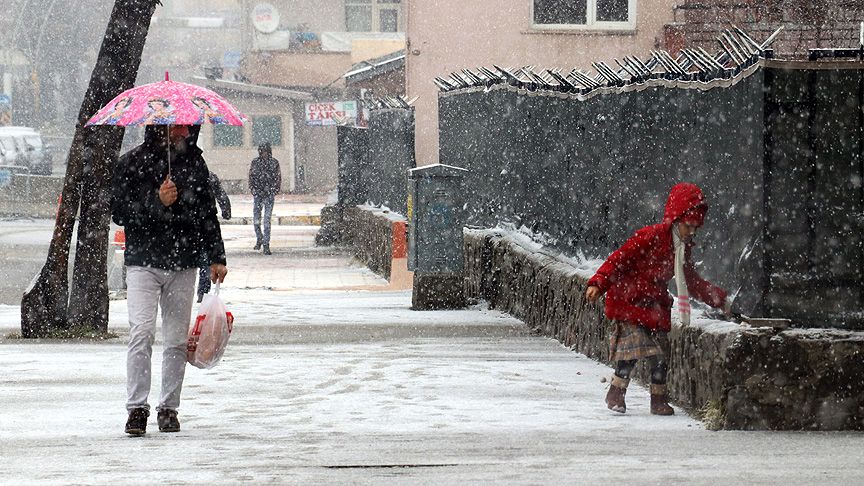 Yoğun kar yağışı nedeniyle 660 köy yolu kapandı! 3