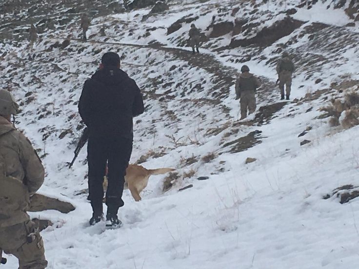 Van'da MİT ve Jandarma'dan ortak operasyon! 1