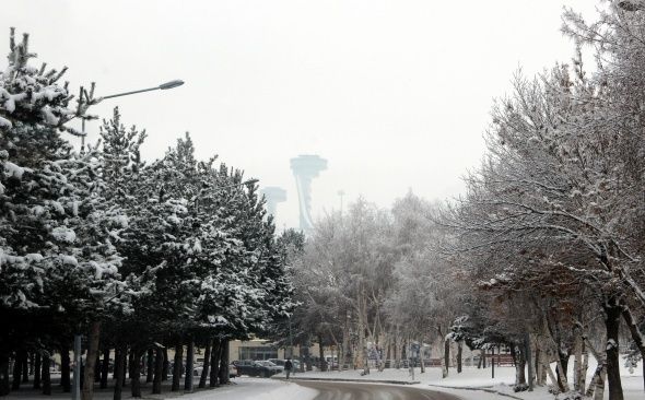 Erzurum'da kartpostallık kar manzaraları! 15