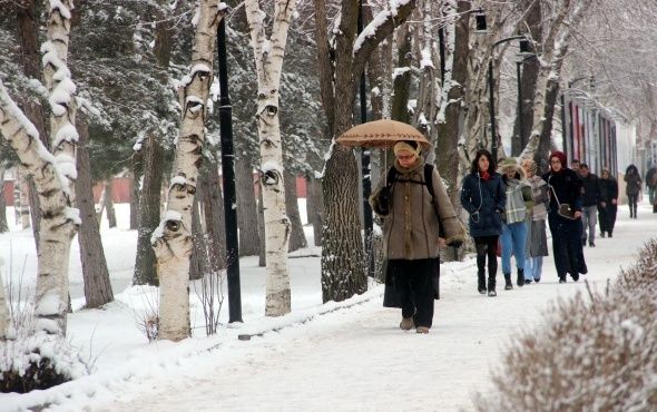 Erzurum'da kartpostallık kar manzaraları! 16