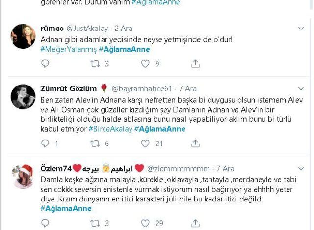 Enişte - baldız aşkı diziye final getirdi! 14