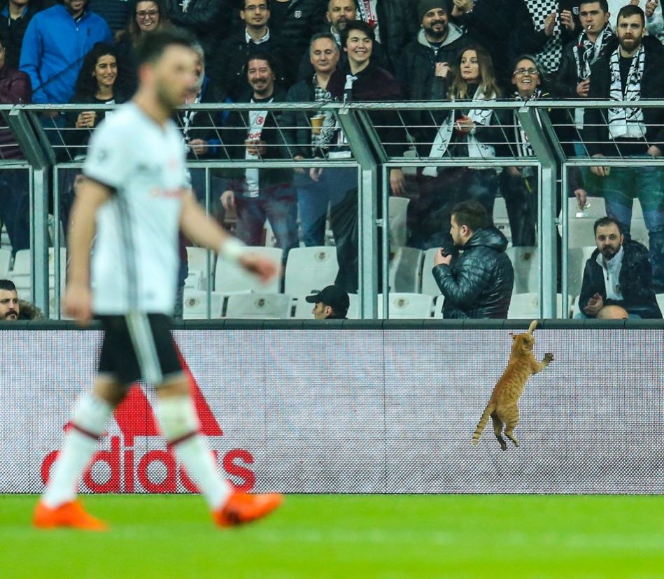 İşte 2018'de en çok konuşulan spor olayları! 16