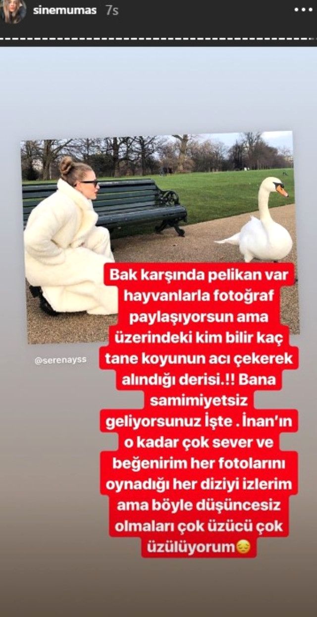Sinem Umaş, Serenay Sarıkaya'yı yerden yere vurdu! 6