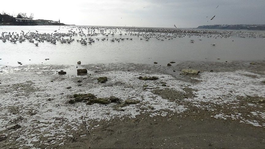 Silivri'de deniz 50 metre çekildi! 1
