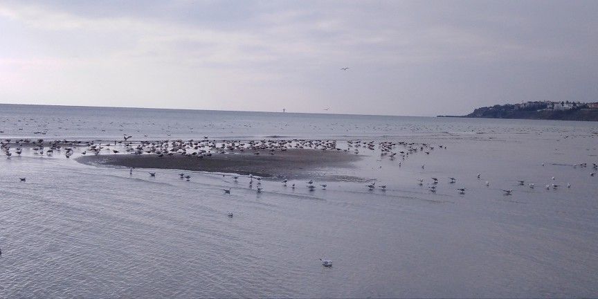Silivri'de deniz 50 metre çekildi! 2