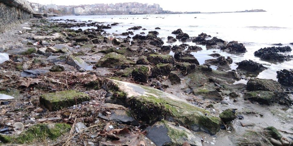 Silivri'de deniz 50 metre çekildi! 4