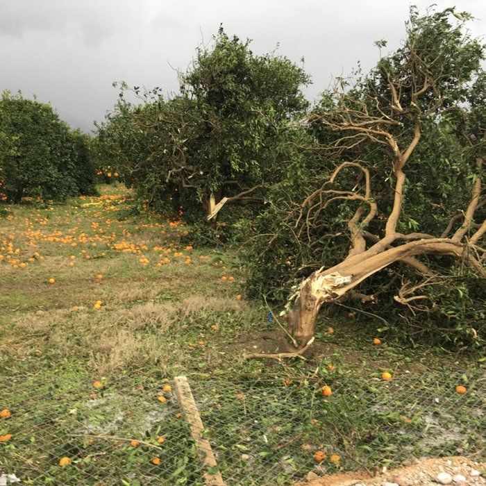 Hortum Antalya'yı yerle bir etti! 19
