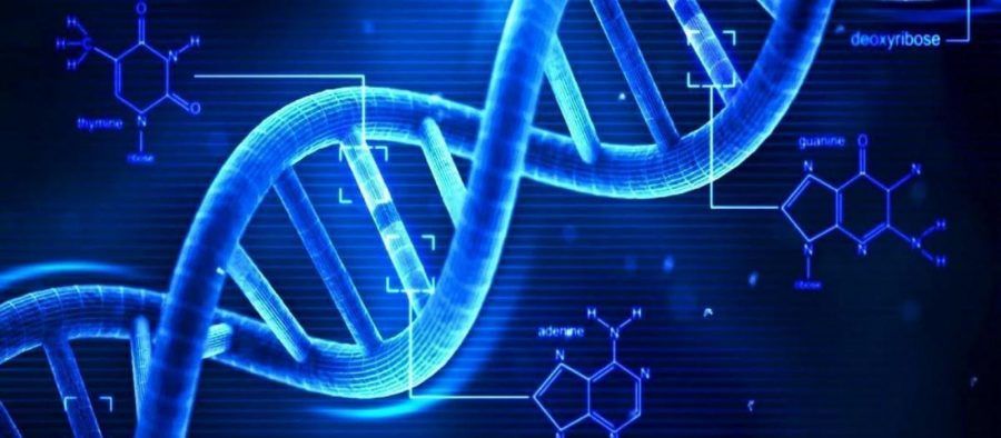 Çocuklukta cinsel taciz, DNA'yı da değiştiriyor! 4
