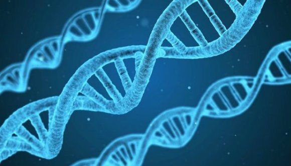 Çocuklukta cinsel taciz, DNA'yı da değiştiriyor! 6