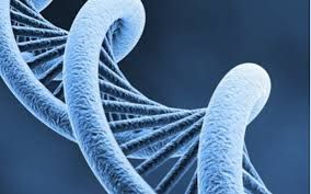 Çocuklukta cinsel taciz, DNA'yı da değiştiriyor! 8
