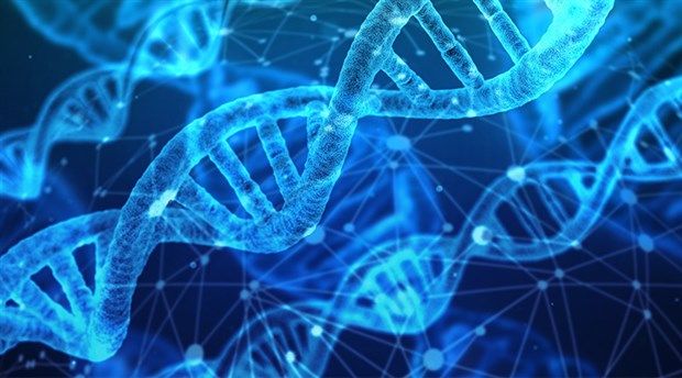 Çocuklukta cinsel taciz, DNA'yı da değiştiriyor! 9