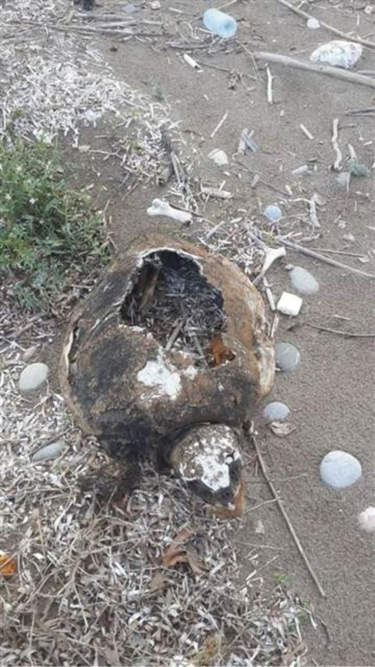 Yer Antalya! Felaketin görüntüsü böyle kaydedildi 5