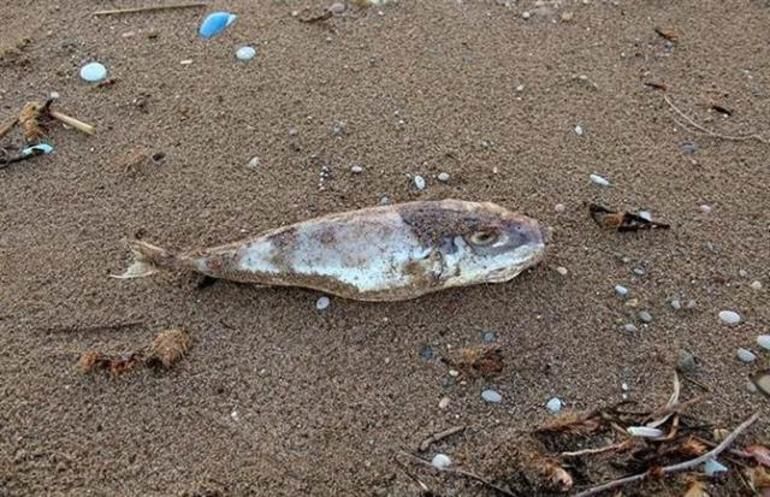 Yer Antalya! Felaketin görüntüsü böyle kaydedildi 6