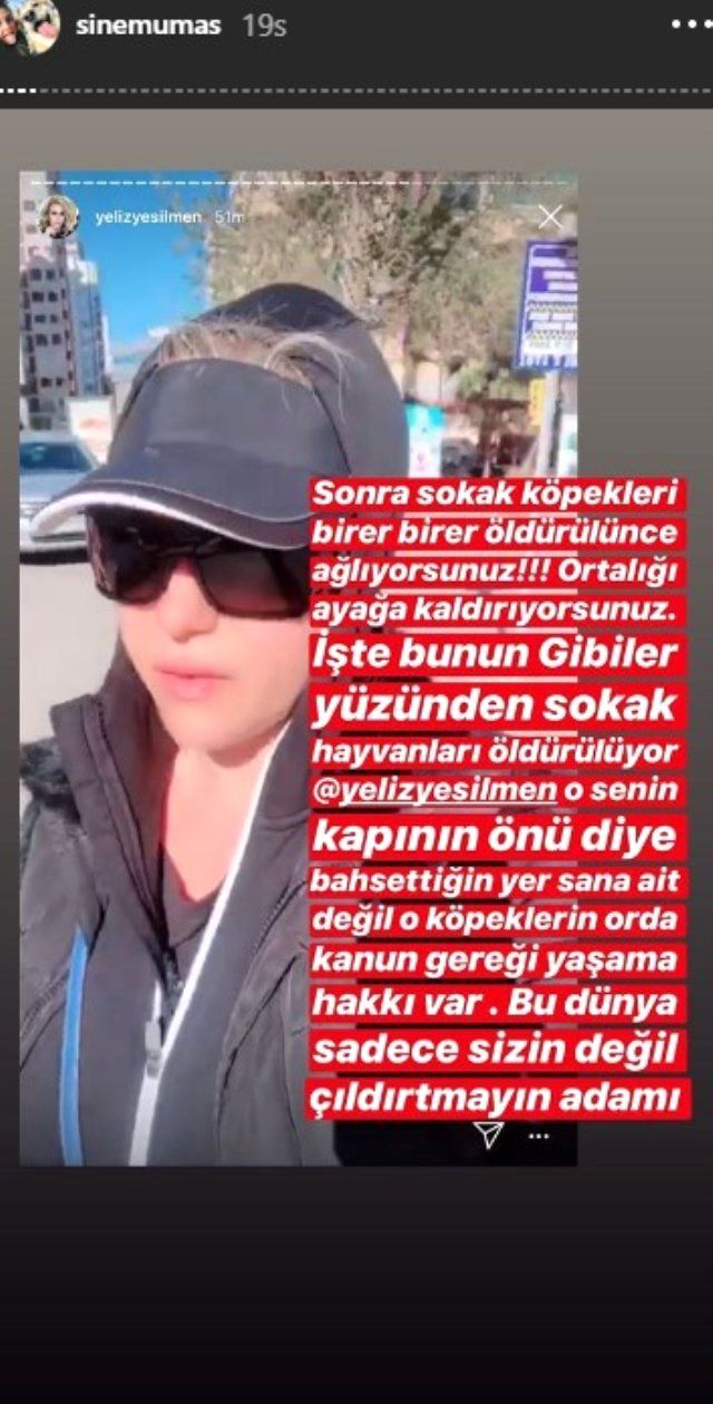 Sinem Umaş ile Yeliz Yeşilmen birbirlerine girdi! 4