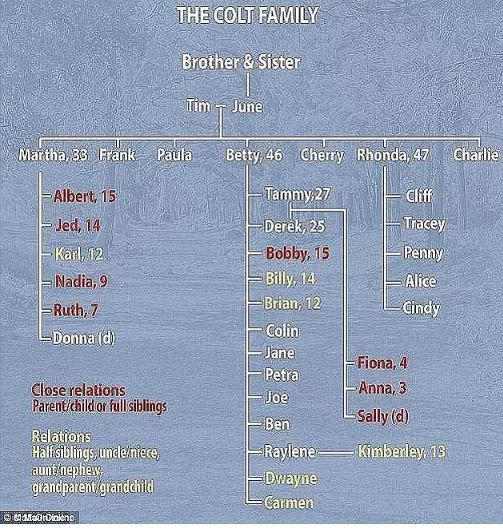 Suçlarıyla Palu Ailesi'ni bile geride bıraktılar! 2