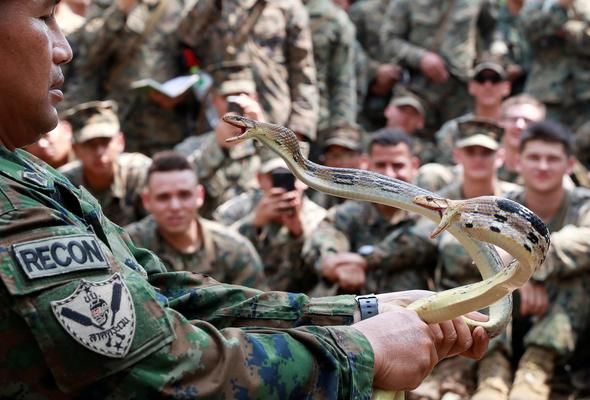 Kanlarını içtiler, diri diri yediler! 14