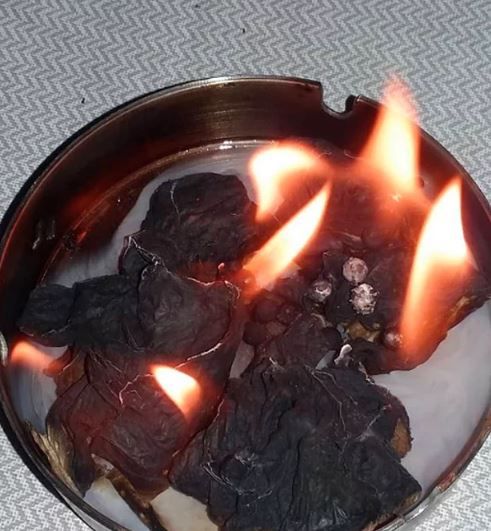 Cinler sosyal medyaya musallat oldu! 9