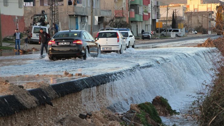 Mardin'de dehşete düşüren görüntü! 5