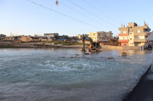Mardin'de dehşete düşüren görüntü! 3
