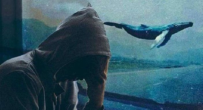 Mavi Balina Türkiye'de bir can daha aldı! 8