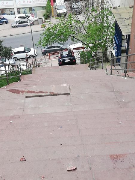 Şaşırtan görüntü! Merdivenleri yol sanınca... 1