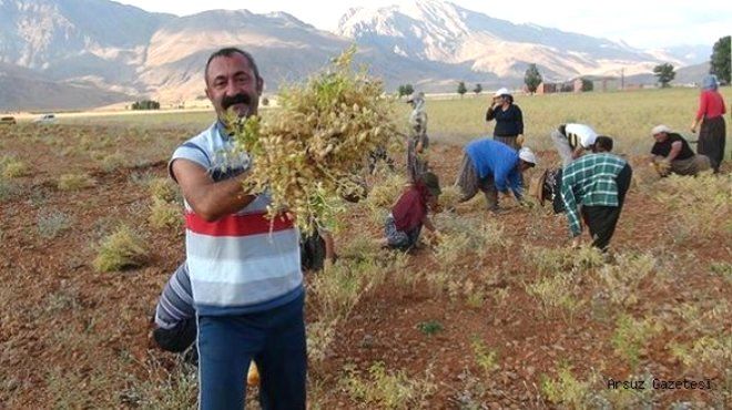 Komünist başkanın asıl mesleği bakın ne! 7