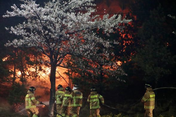 Güney Kore'de ulusal felaket ilan edildi! 10