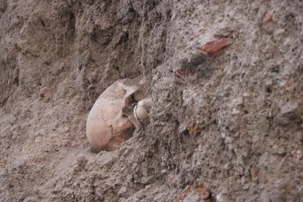 Denizli'de boş arazide insan kemikleri bulundu! 5