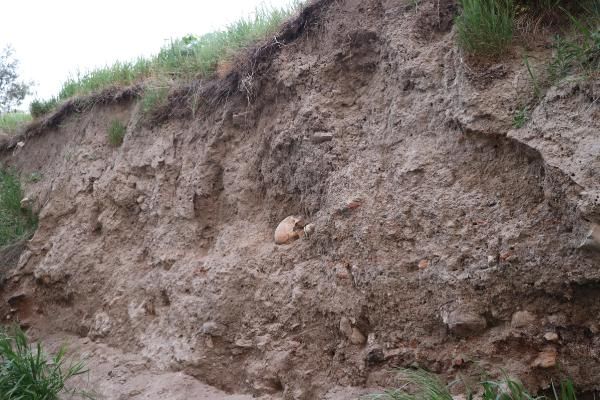 Denizli'de boş arazide insan kemikleri bulundu! 6