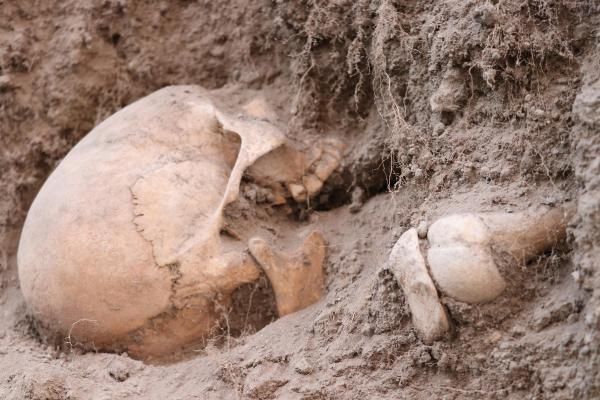 Denizli'de boş arazide insan kemikleri bulundu! 8