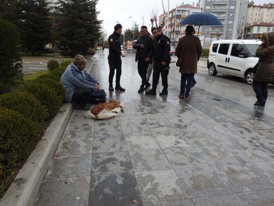 Cansız bedeni getirip valiliğin önüne bıraktı! 5
